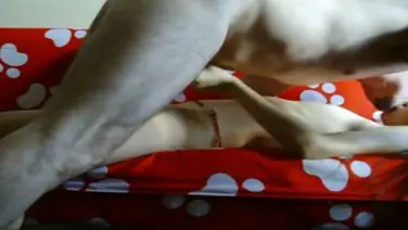 Bokep Indo ABG Jakarta Bispak Skandal ML Hotel Terekam Viral Full HD 2025 poster